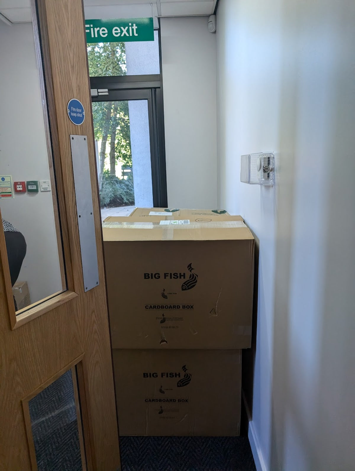 Ireland Wood Surgery — Dr.Visor photo 3
