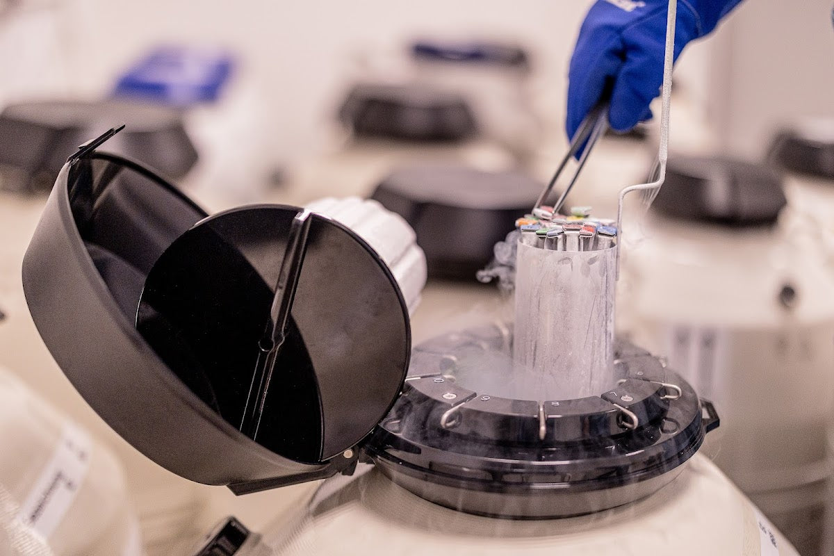 Vivaneo Sperm Bank GmbH - IVF & Fertility clinic in Düsseldorf, Germany