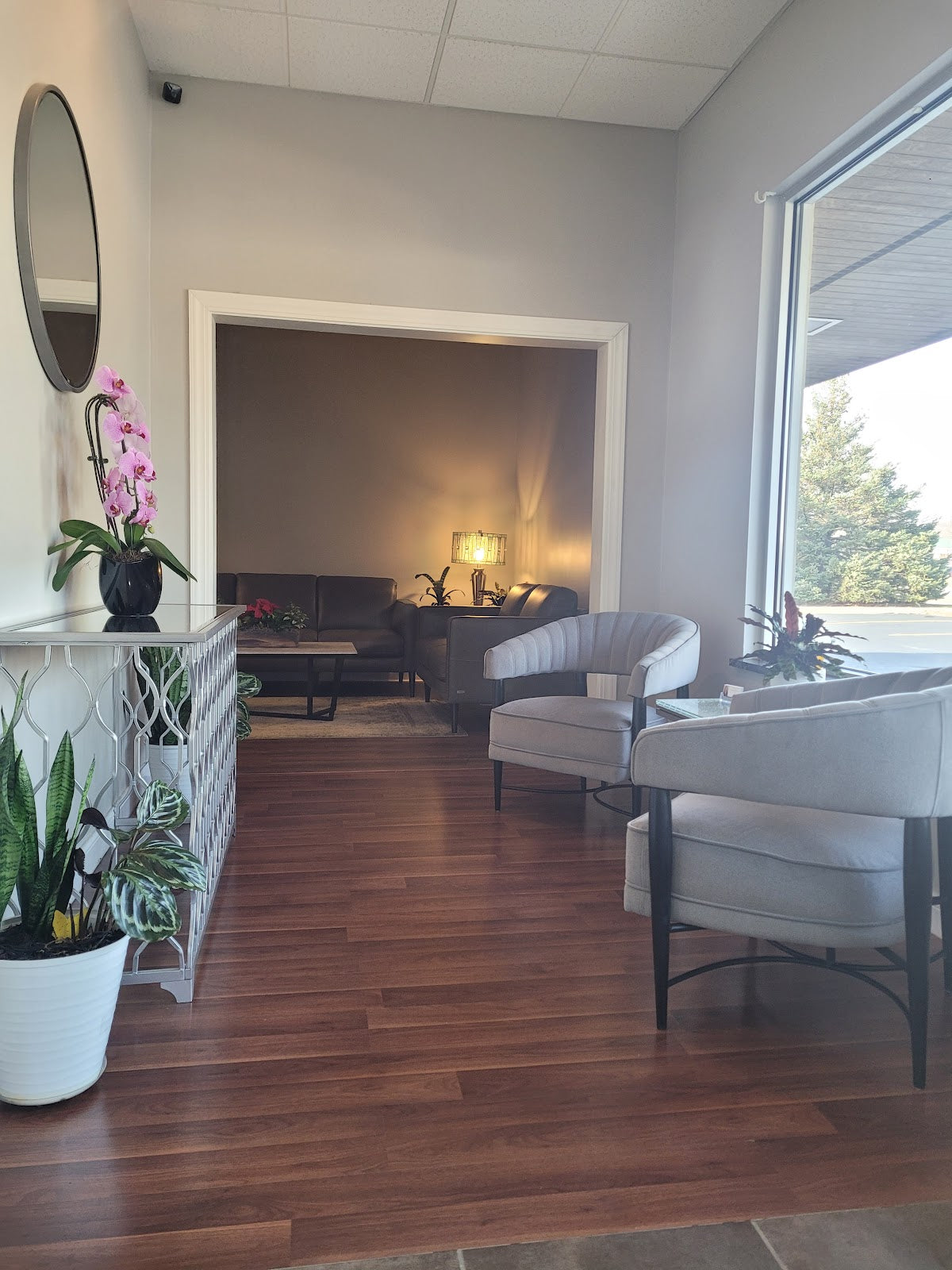 Drew & Co. Medical Aesthetics and Wellness Clinic | Hair Transplant | Kenosha, WI