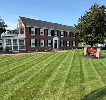 Rejuvenation Skin Wellness & Aesthetics | Hair Transplant | Millville, DE