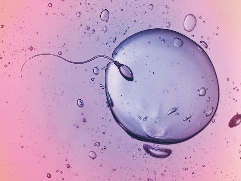 Cpma | IVF | 1003 Lausanne