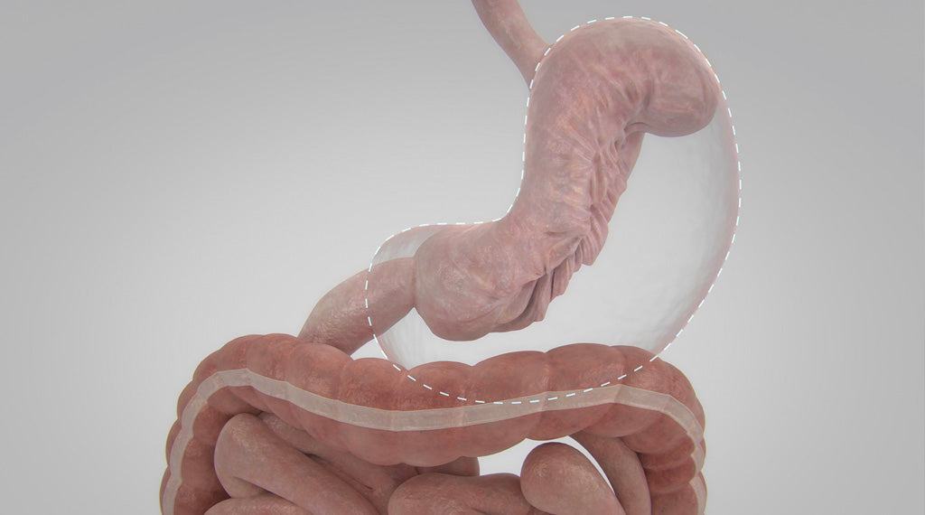 The Silhouette Clinic | Bariatric Surgery | Frederick, MD