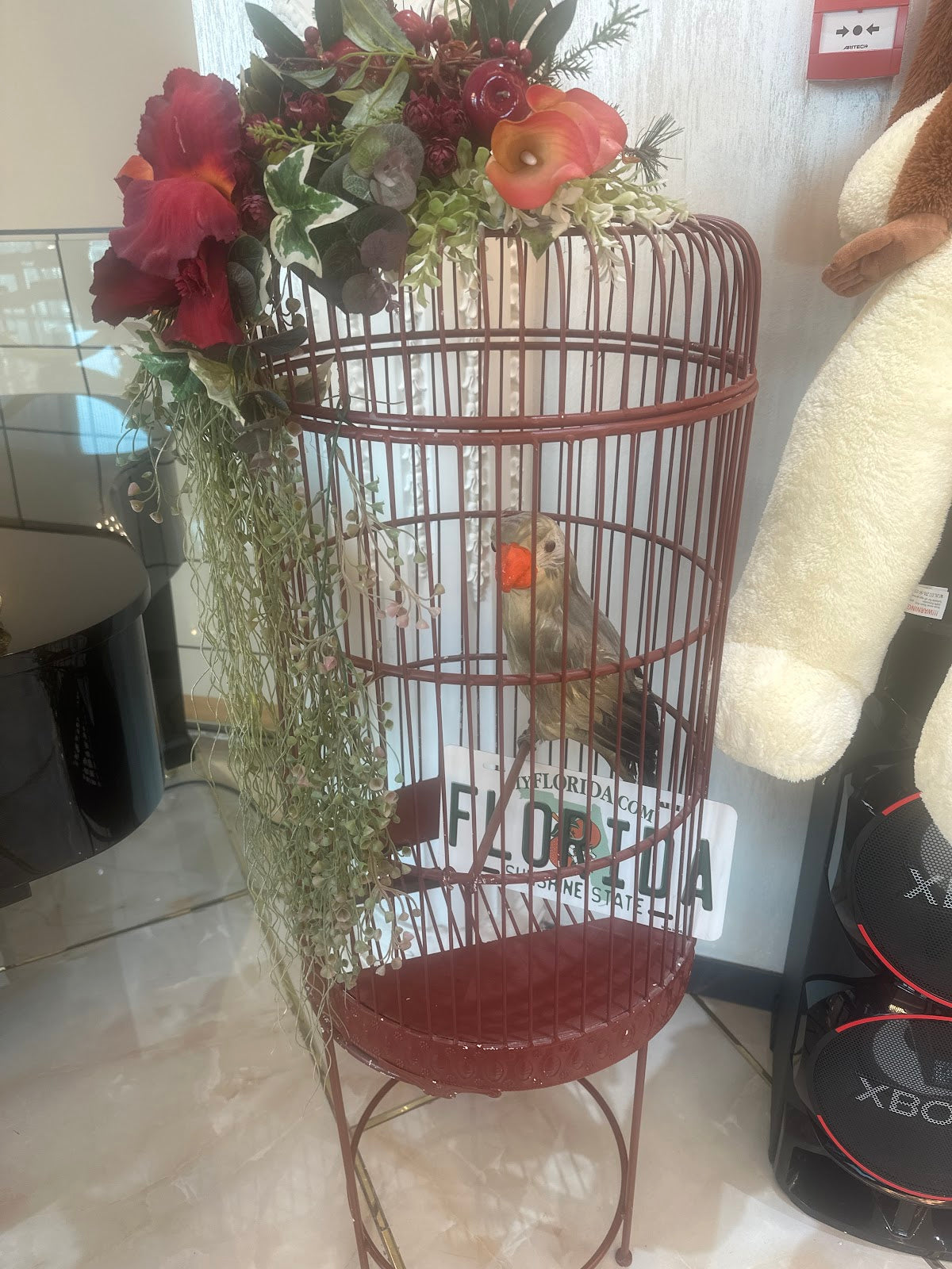 Asli Tarcan Clinic - Hair Transplant Turkey — Dr.Visor photo 5