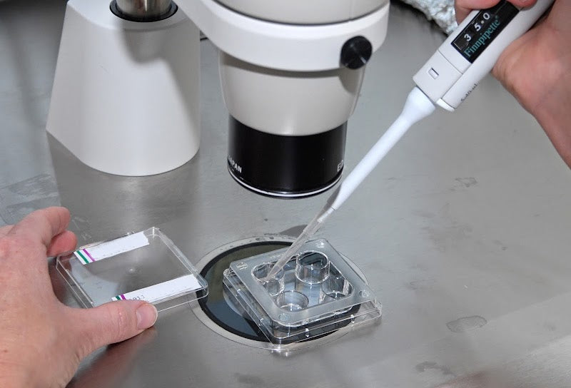 Fertilitetsklinikken | IVF | 7800 Skive