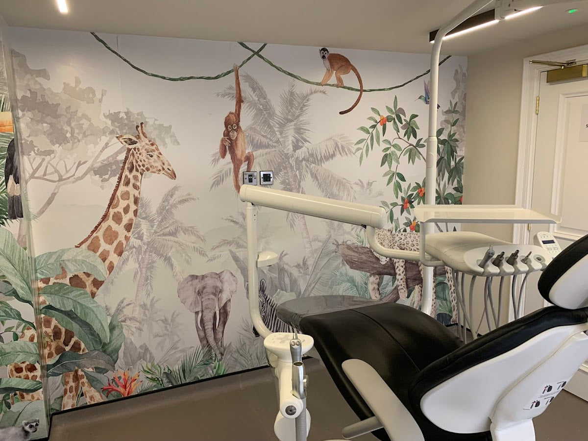 Clarendon Dental Spa — Dr.Visor photo 5