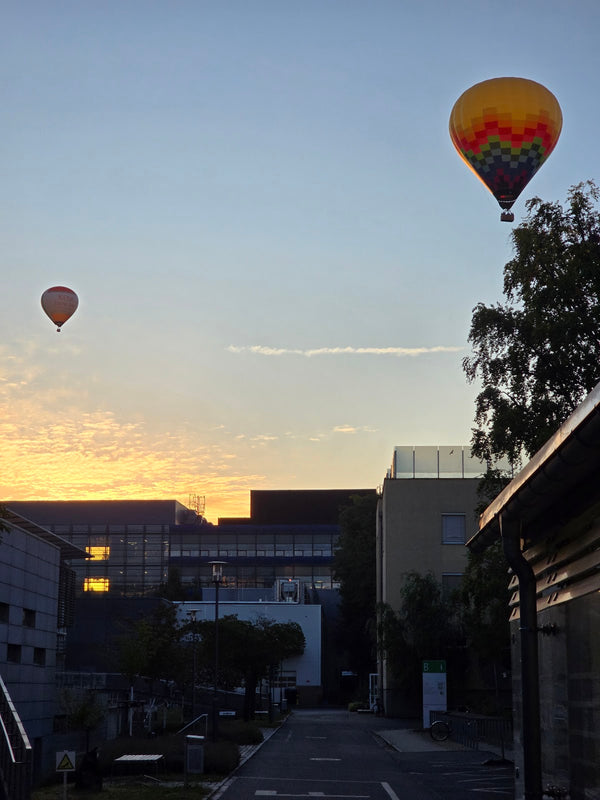 Universitätsklinikum - Frauenklinik - Kinderwunschzentrum und Hormonsprechstunde | IVF & Fertility | Dresden