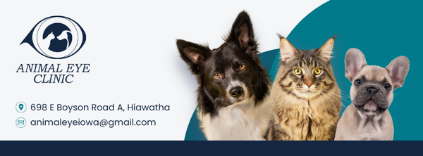 Animal Eye Clinic of | Eye Clinic | Hiawatha, IA