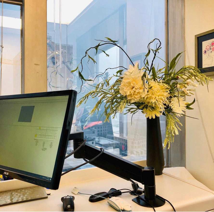 Dental | Dental | Portland, OR