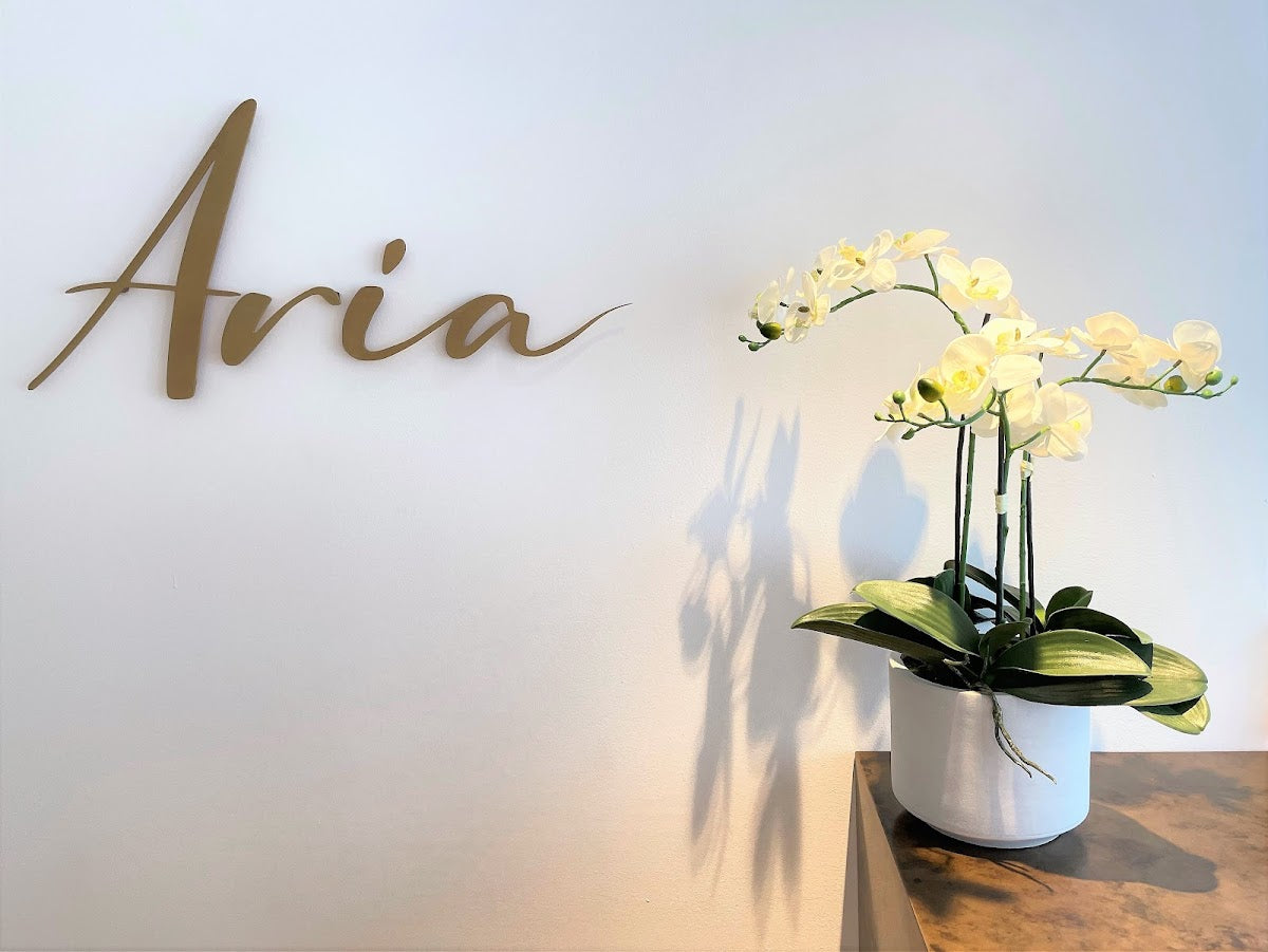 Aria Fertility — photo 4
