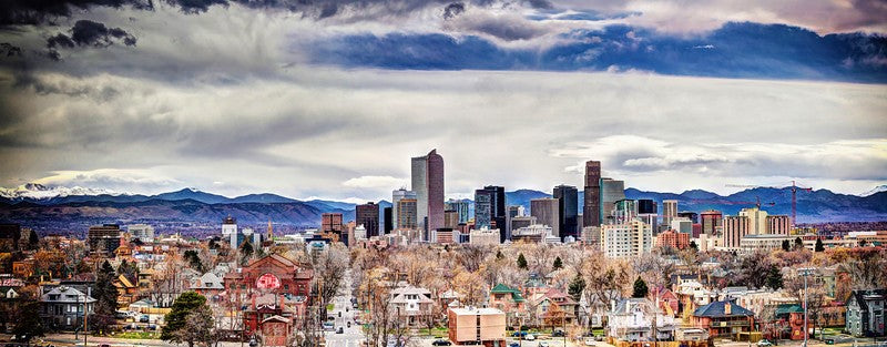 SCALP ARTIST INTERNATIONAL | Hair Transplant | Denver, CO