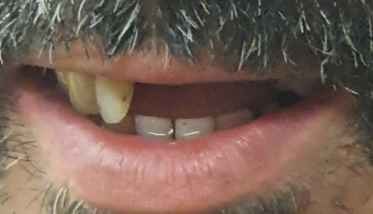 HQ dental — photo 4