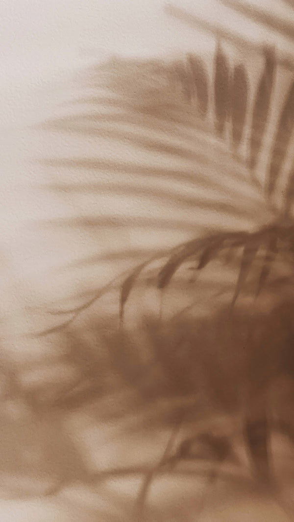 The Cave Salon | Hair Transplant | Hilo, HI