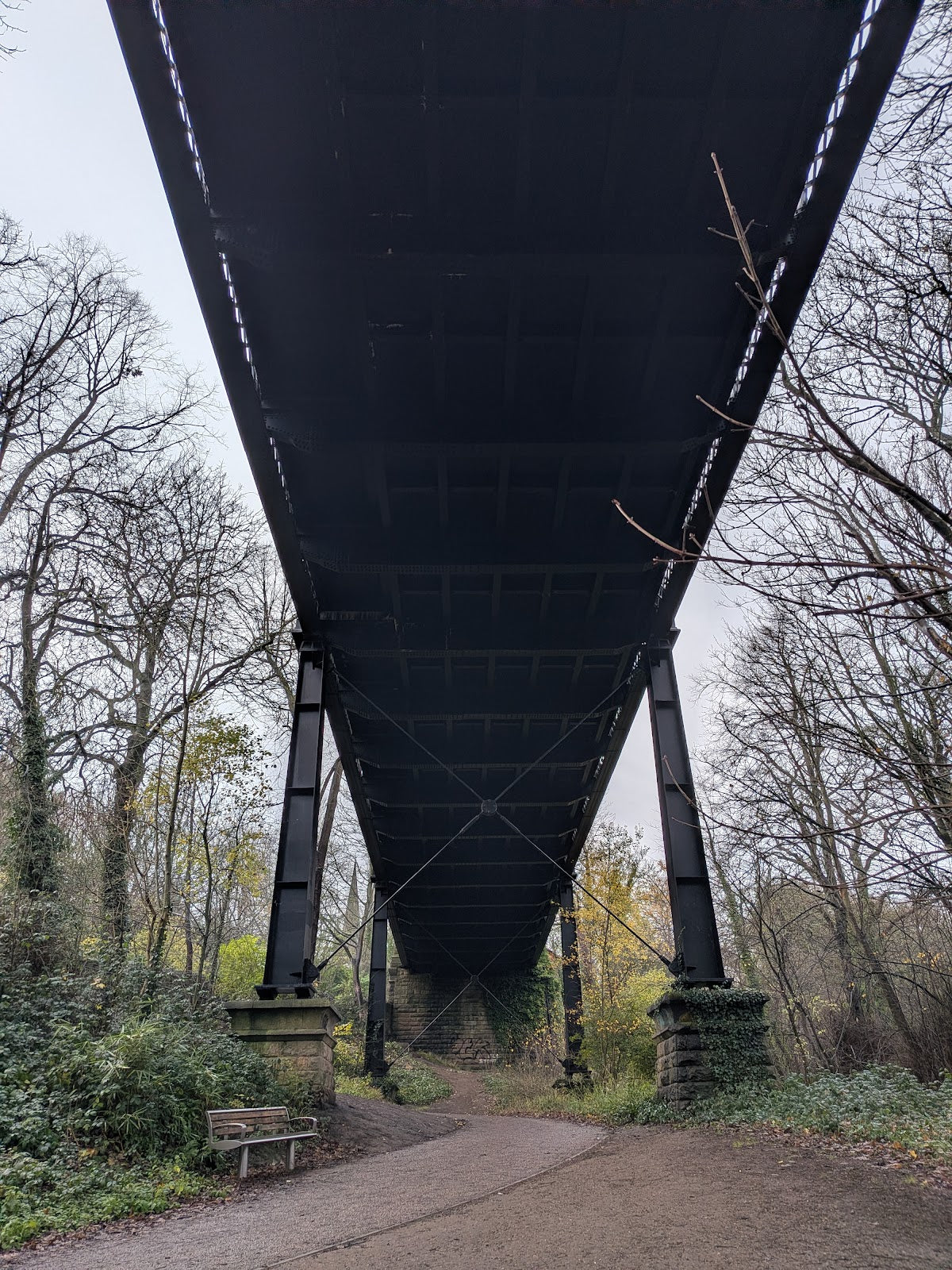 Institute of Transplantation — photo 5