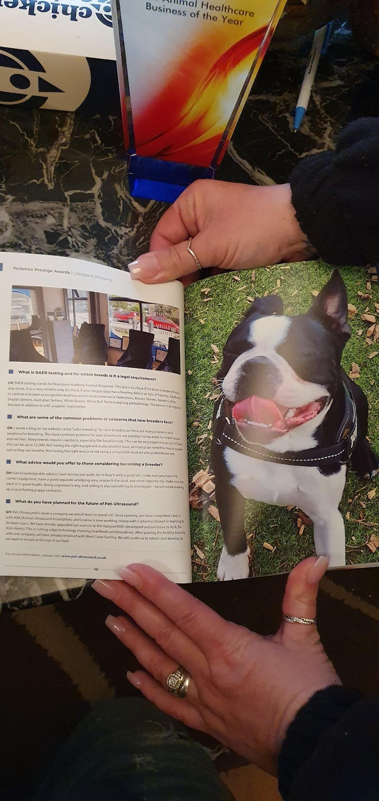 Pet-Ultrasound Scanning and k9 Fertility courses — photo 5