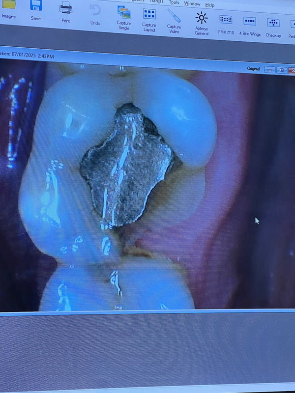 Summit Dental: Peter Karian, DDS | Dental | Middletown, DE
