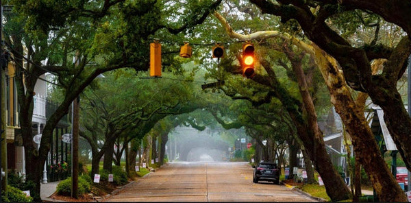 Stevens Eye Care: Clayton Stevens, MD | Eye Clinic | Biloxi, MS