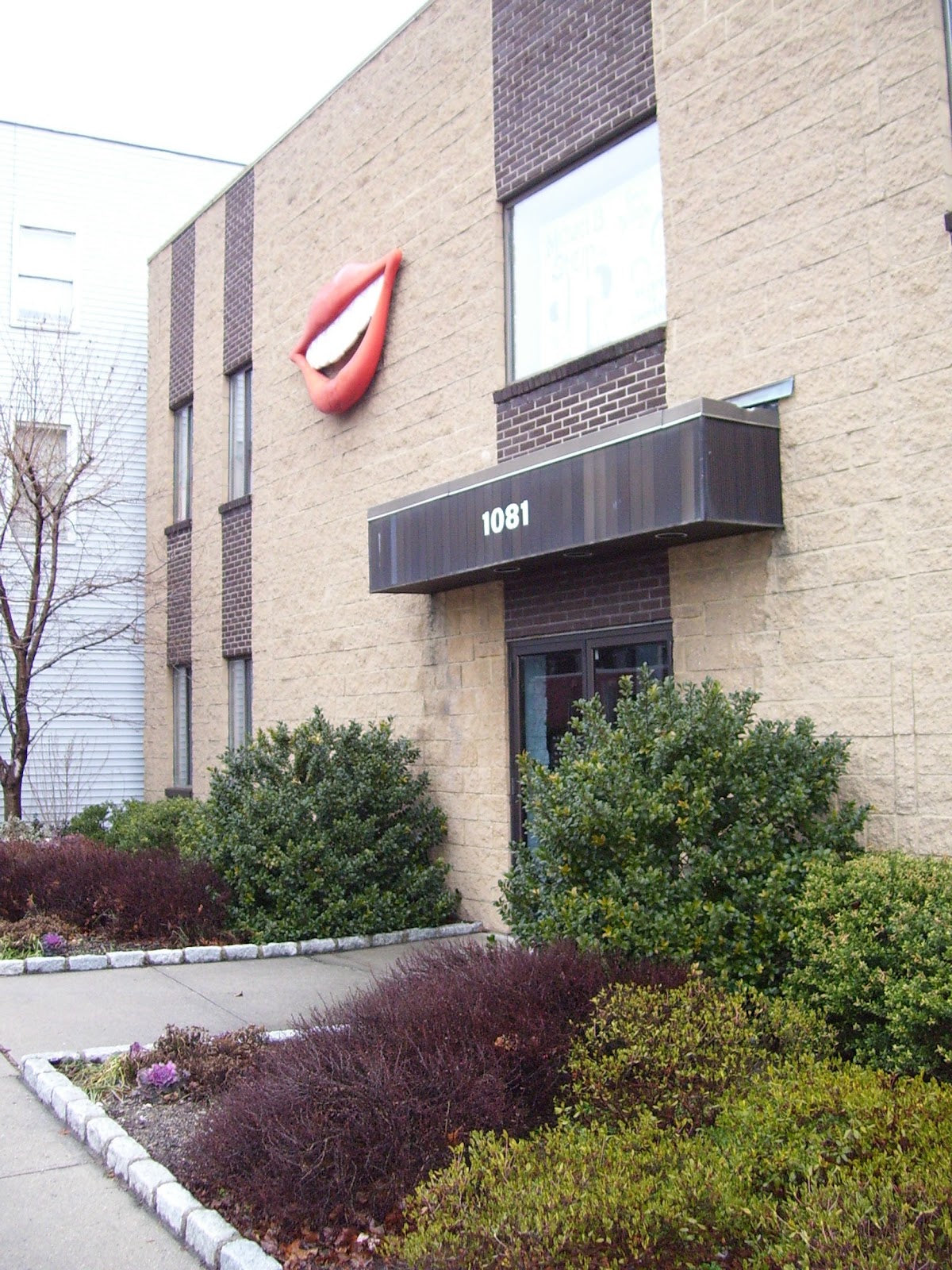 The Stein Dental Group | Dental | Stamford, CT