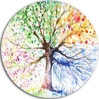 Tree of Life Medicine: Gabriel Archdeacon, ND | Hair Transplant | Montpelier, VT