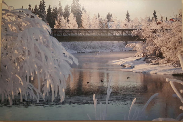Chena Health | IVF | Fairbanks, AK