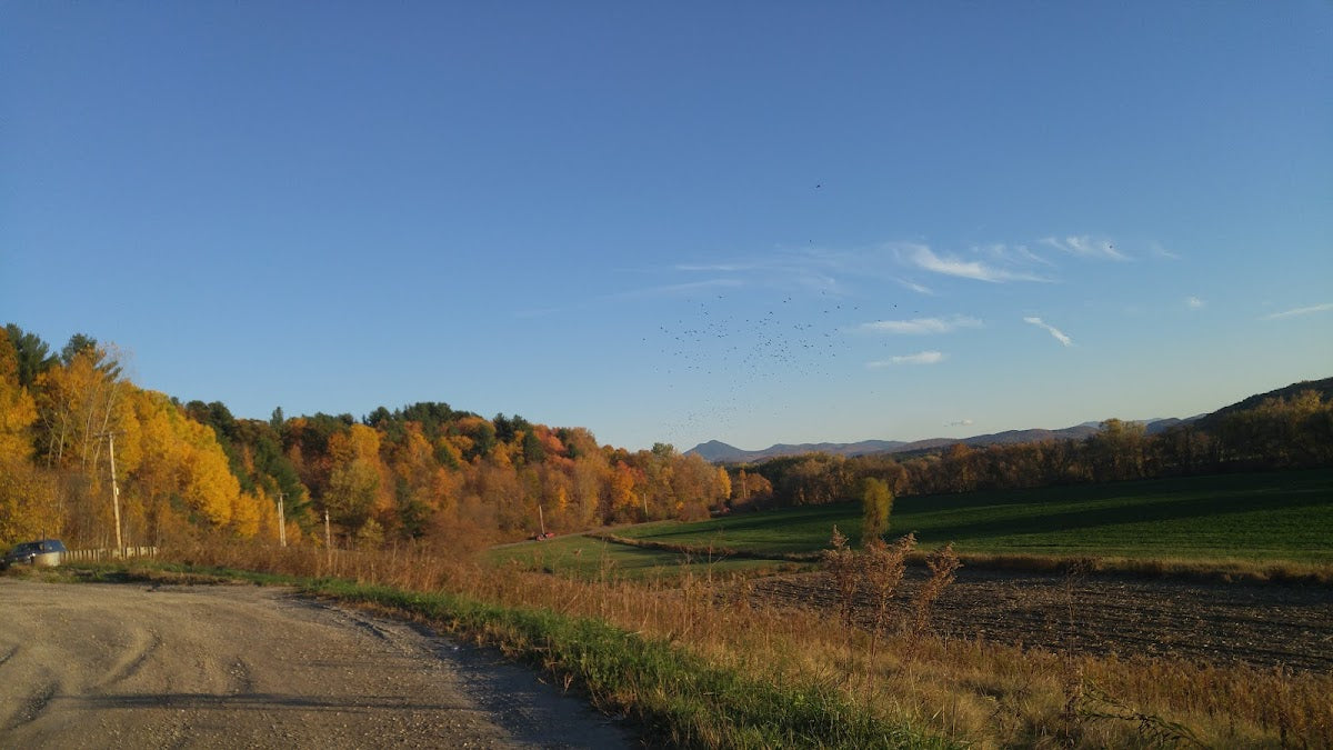 Hair Works | Hair Transplant | Essex Junction, VT