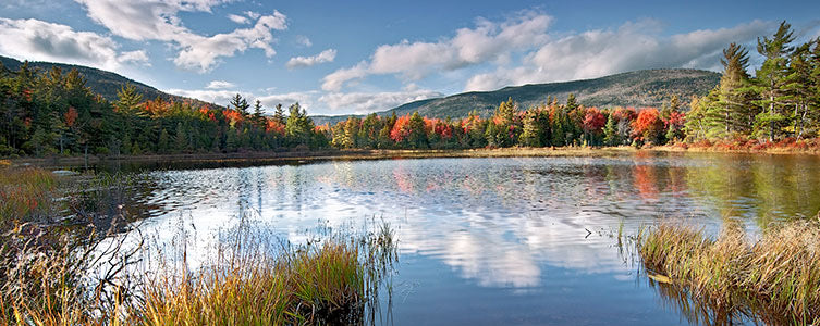 Oral and Maxillofacial Surgery | Dental | Dover, NH