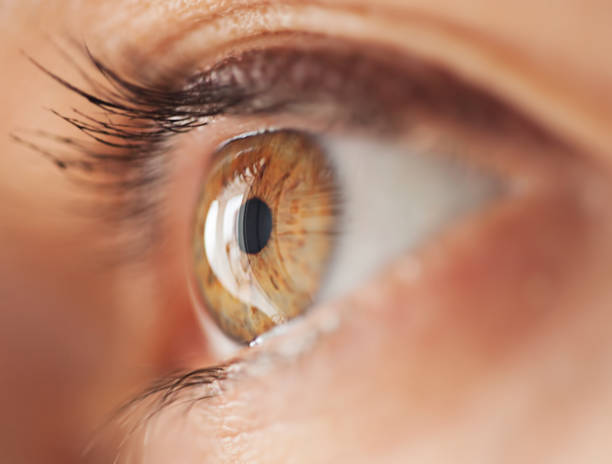 Engstrom Cataract and Laser Center | Eye Clinic | Roswell, NM