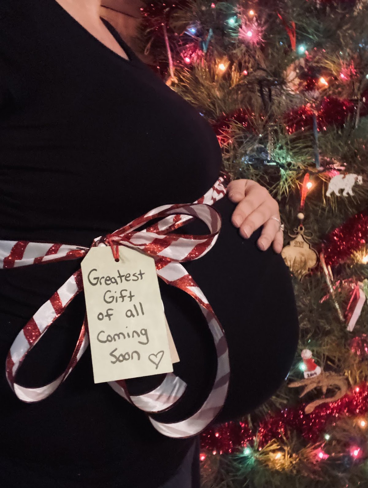 Sowing Seeds Surrogacy Services, LLC | IVF | 303 N Main St, IA