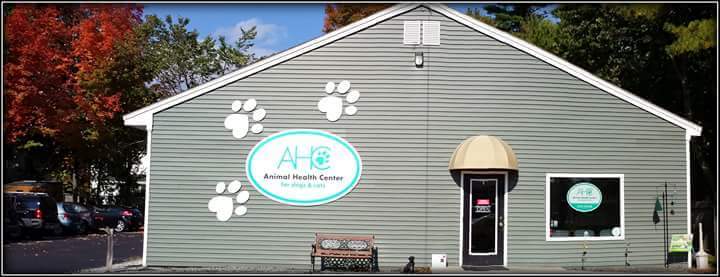 Animal Health Center | Dental | Rochester, NH