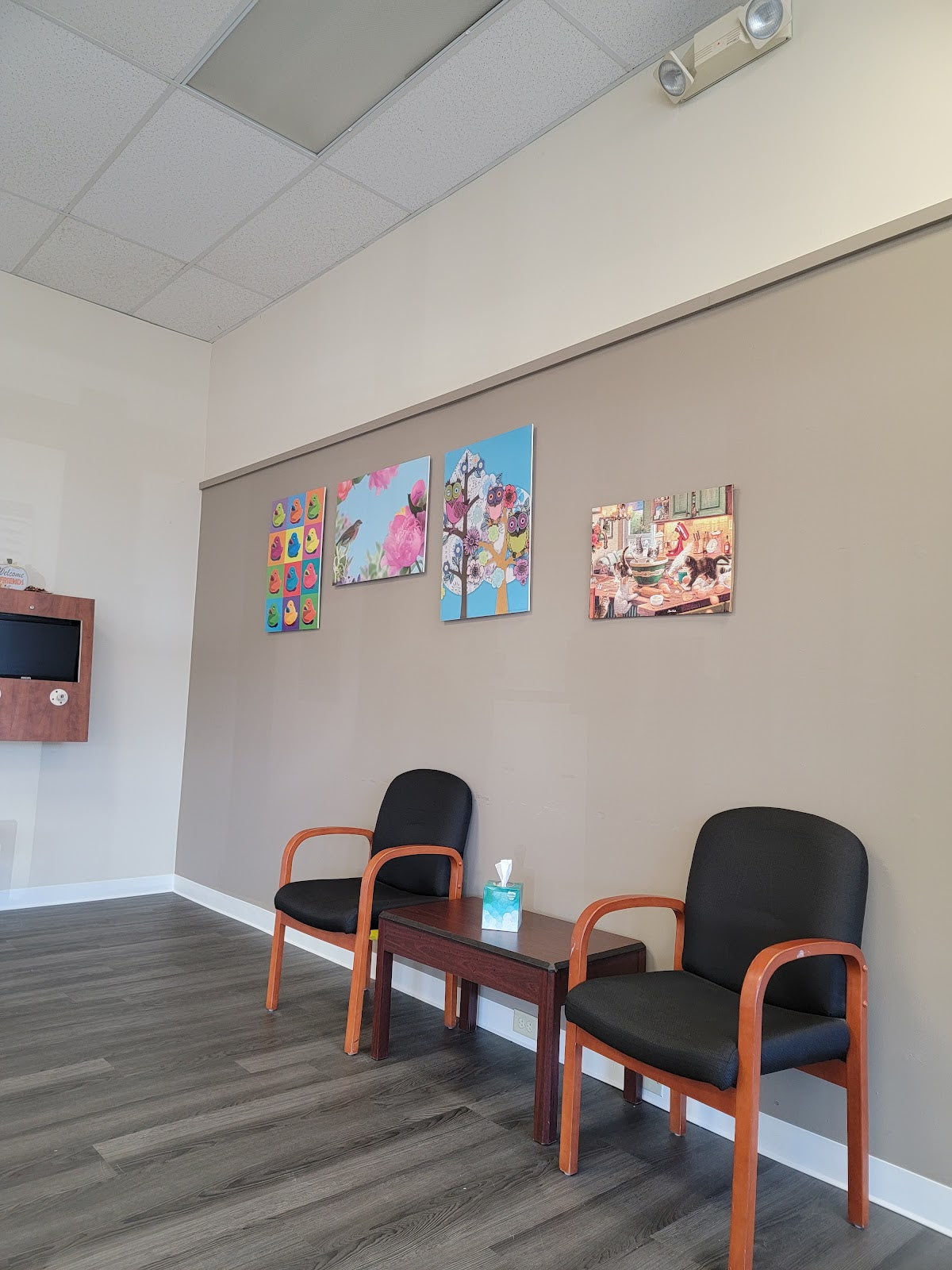 Dr. Dental | Dental | New Haven, CT
