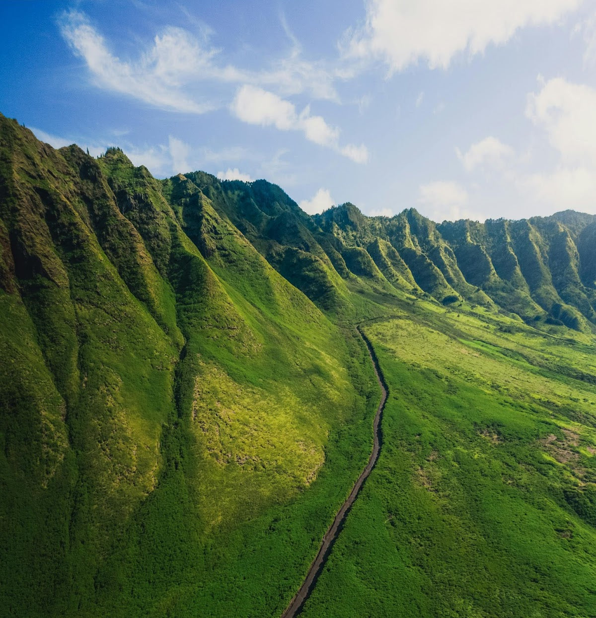 Enhance Hawaiʻi | Hair Transplant | Kailua, HI