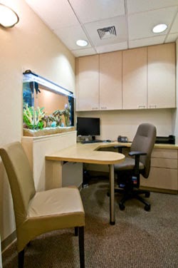 Robert Peterson, MD | Aesthetic Surgery | Honolulu, HI