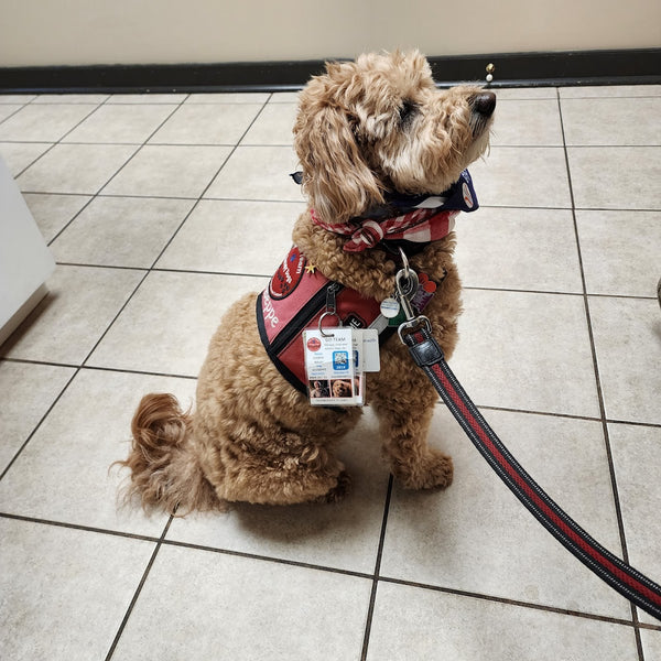 Eye Care for Animals -  Defense Hwy | Eye Clinic | Annapolis, MD