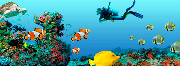 Ocean Dental | Dental | Shreveport, LA
