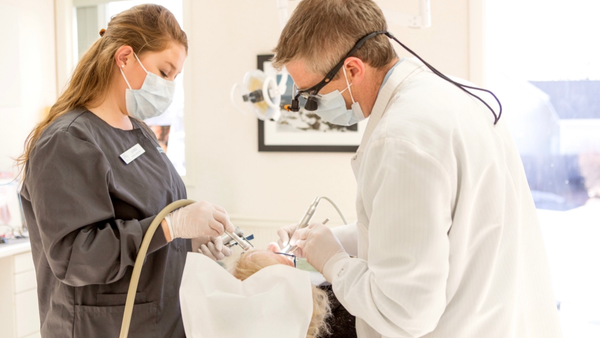 Levesque Dentistry | Dental | Nashua, NH
