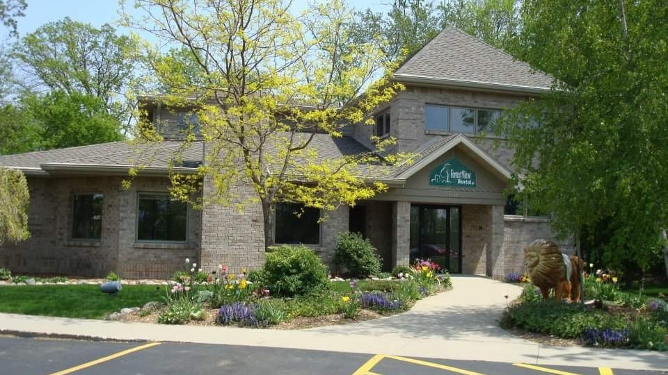 Forest View Dental | Dental | Appleton, WI