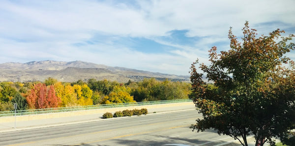 Wells Dental | Dental | Boise, ID