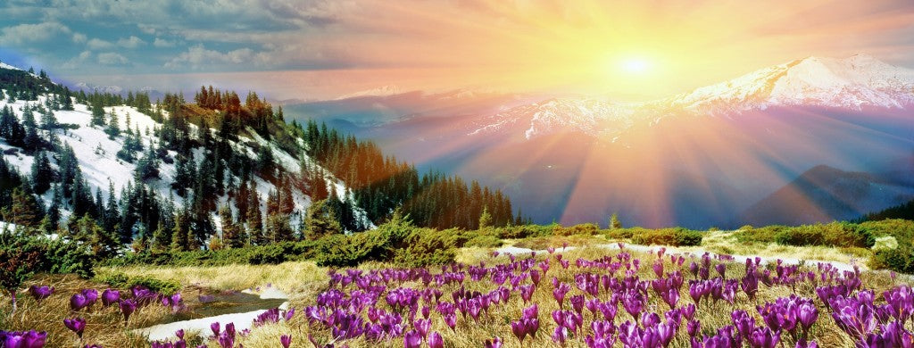 Skyline Vision Clinic | Eye Clinic | Colorado Springs, CO