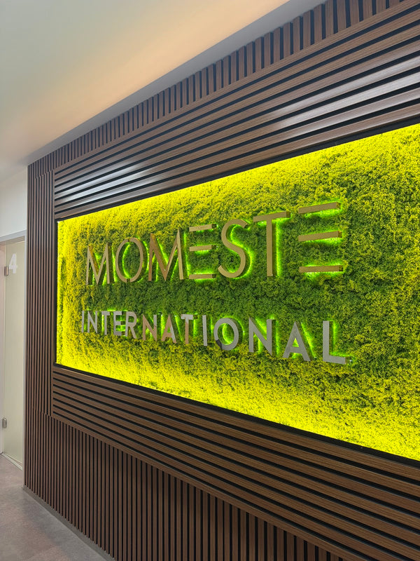 Momeste International | Hair Transplant | Köln