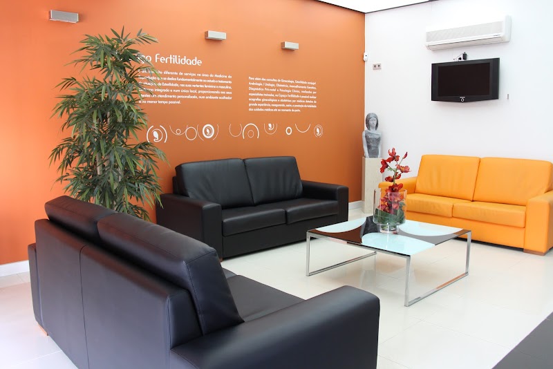 Espaço Fertilidade- Prof Drª Teresa Almeida Santos | IVF | 3000-185 Coimbra