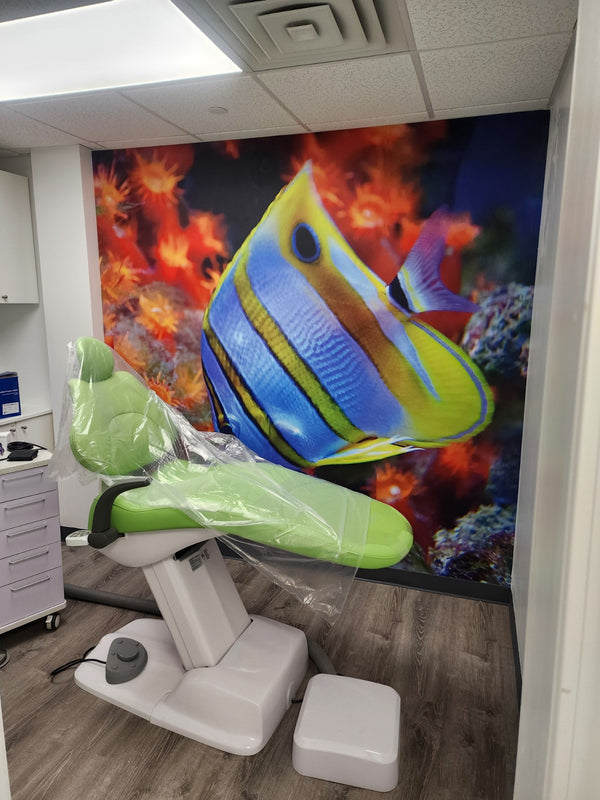 Green Mountain Pediatric Dentistry | Dental | South Burlington, VT
