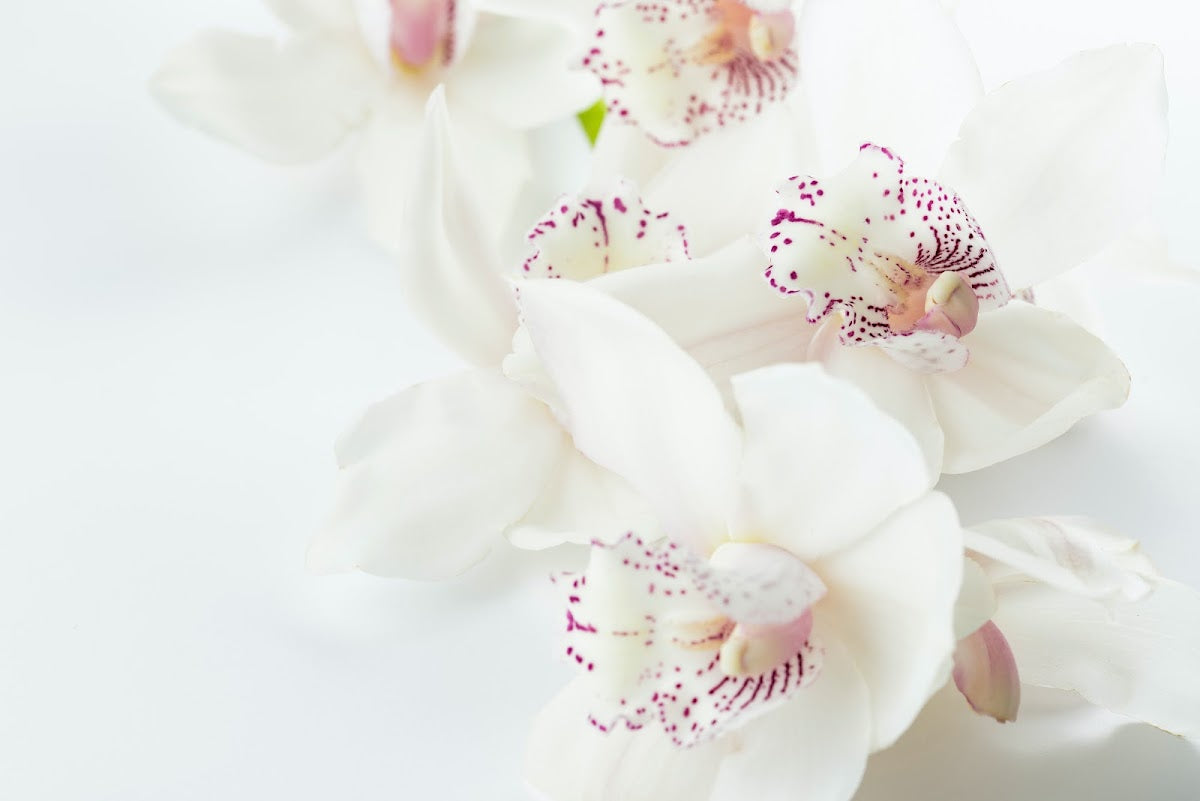 Maxine Smillie-Acupuncture - IVF & Fertility clinic in Cardiff, United Kingdom