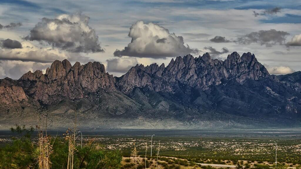 Paragon Medi Spa | Hair Transplant | Las Cruces, NM