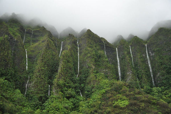 Ko'olau Clinic | Hair Transplant | Kailua, HI