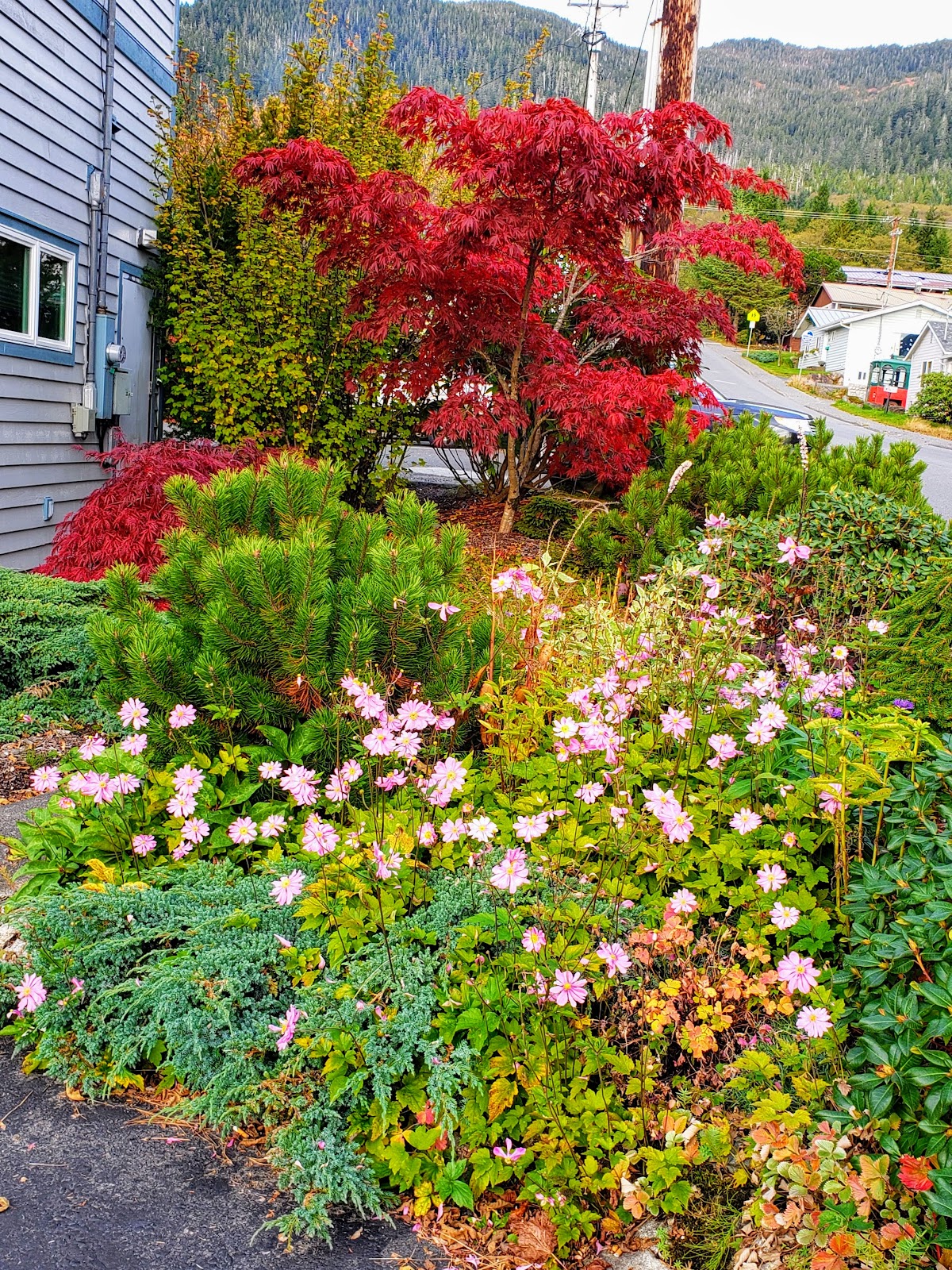 Eye Care Center | Eye Clinic | Ketchikan, AK
