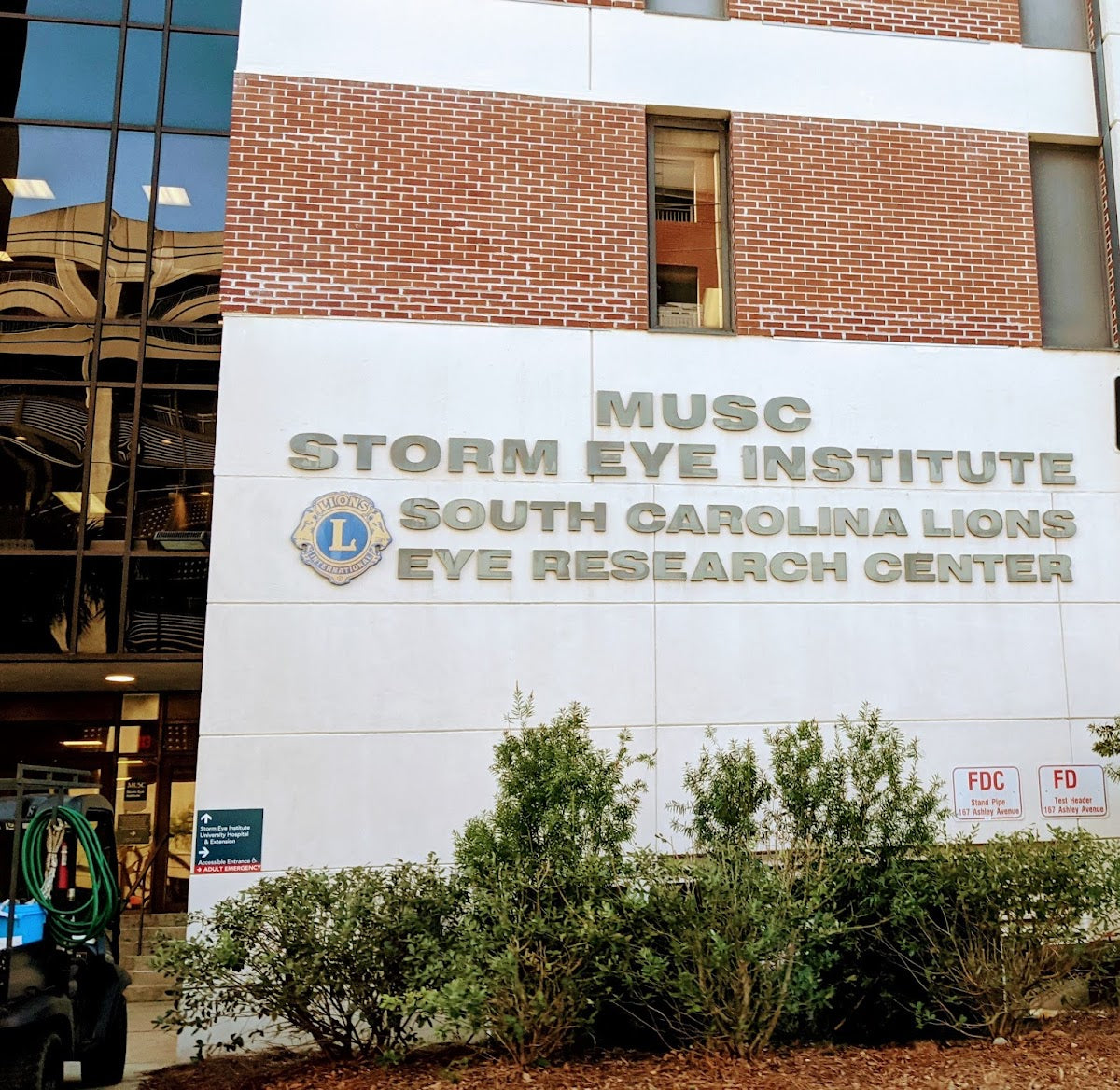 MUSC Health Ophthalmology at Storm Eye Institute | Eye Clinic | 2nd Floor, SC
