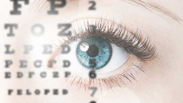 Optical & Eye Care | Eye Clinic | Gresham, OR