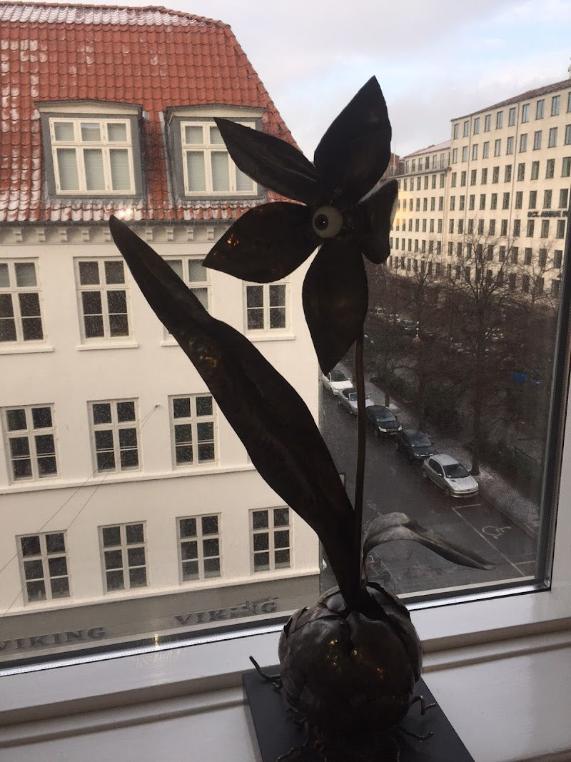 Eye 5 Øjenlågsoperationer | Aesthetic Surgery | 1264 København