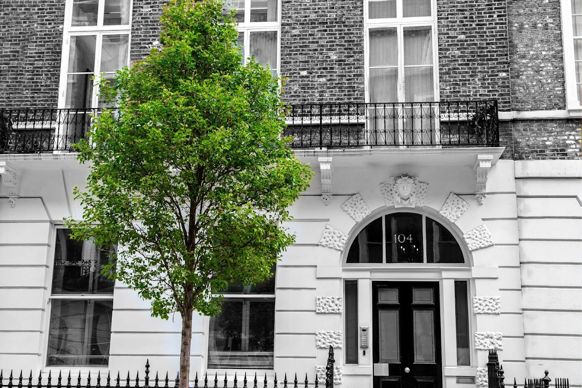 Norton Implants - Dental Implants Specialist — Dental Clinic in London