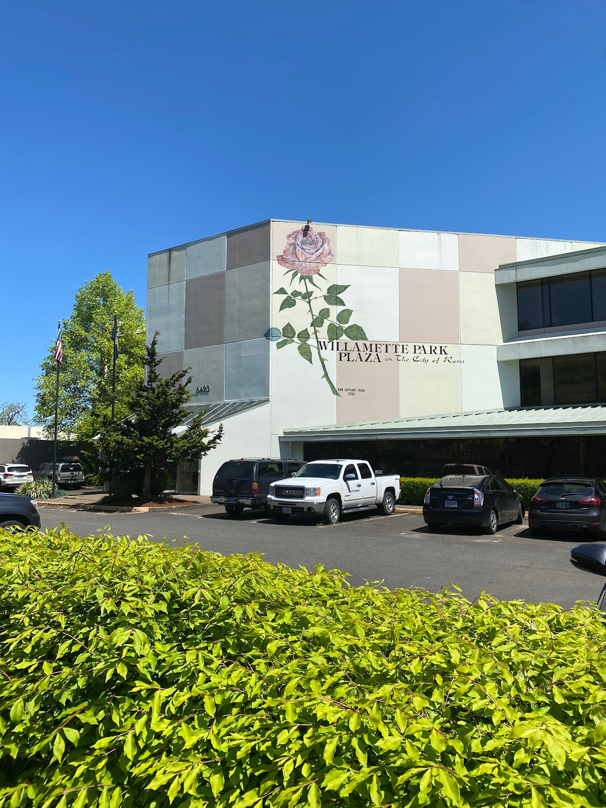 Cascade Regenerative Medicine | Hair Transplant | Portland, OR