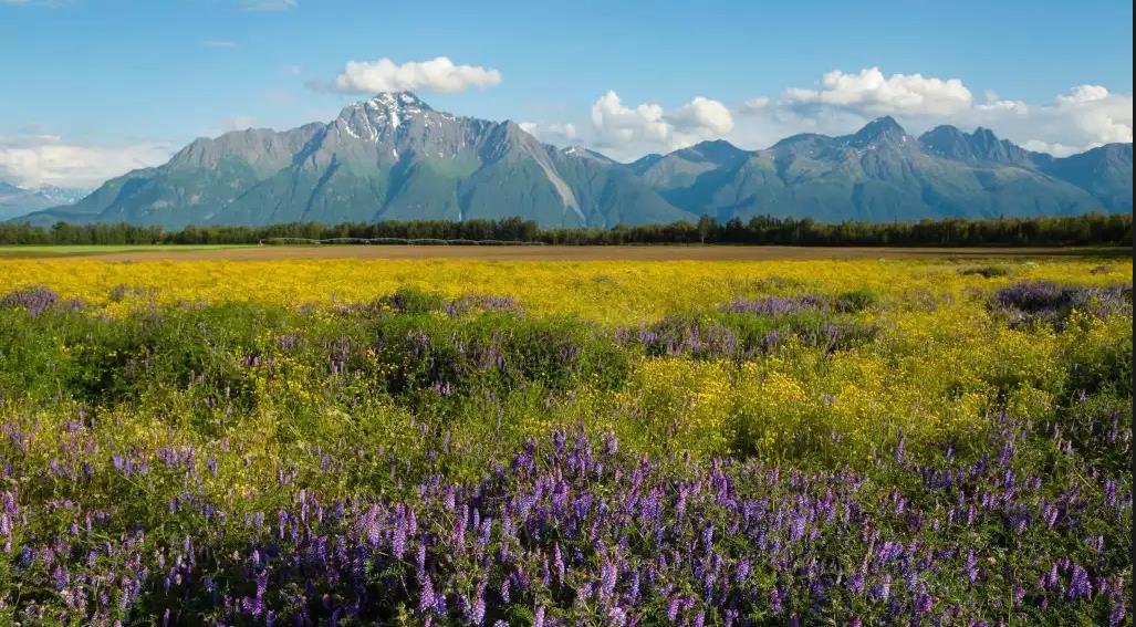 Medical Clinic | IVF | Wasilla, AK